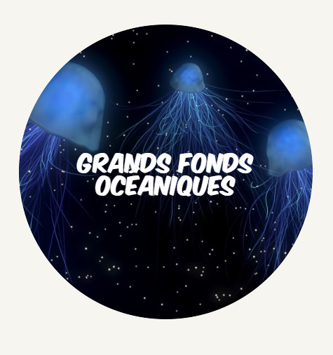 Bouton grands fonds oceaniques