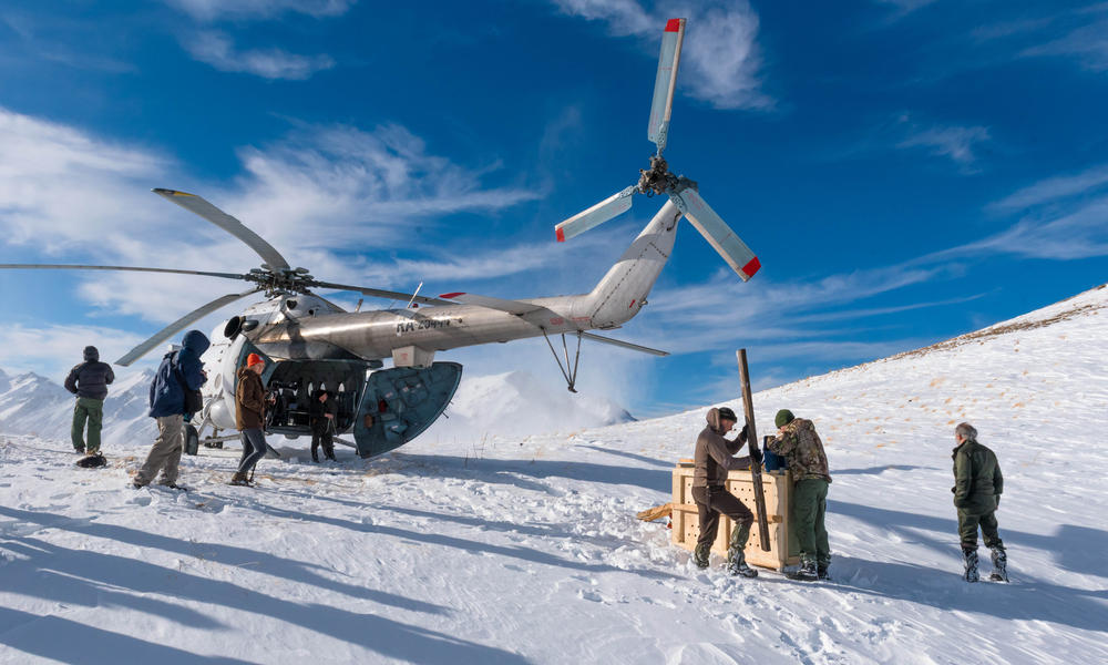 wwf rangerclub news luipaard leopard caucasus gallery 5