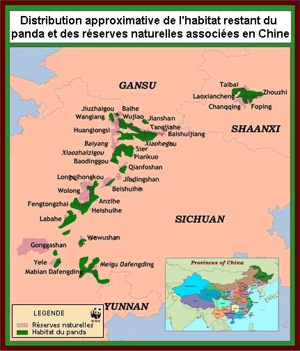 WWF rangerclub nieuws panda news panda map gallery8