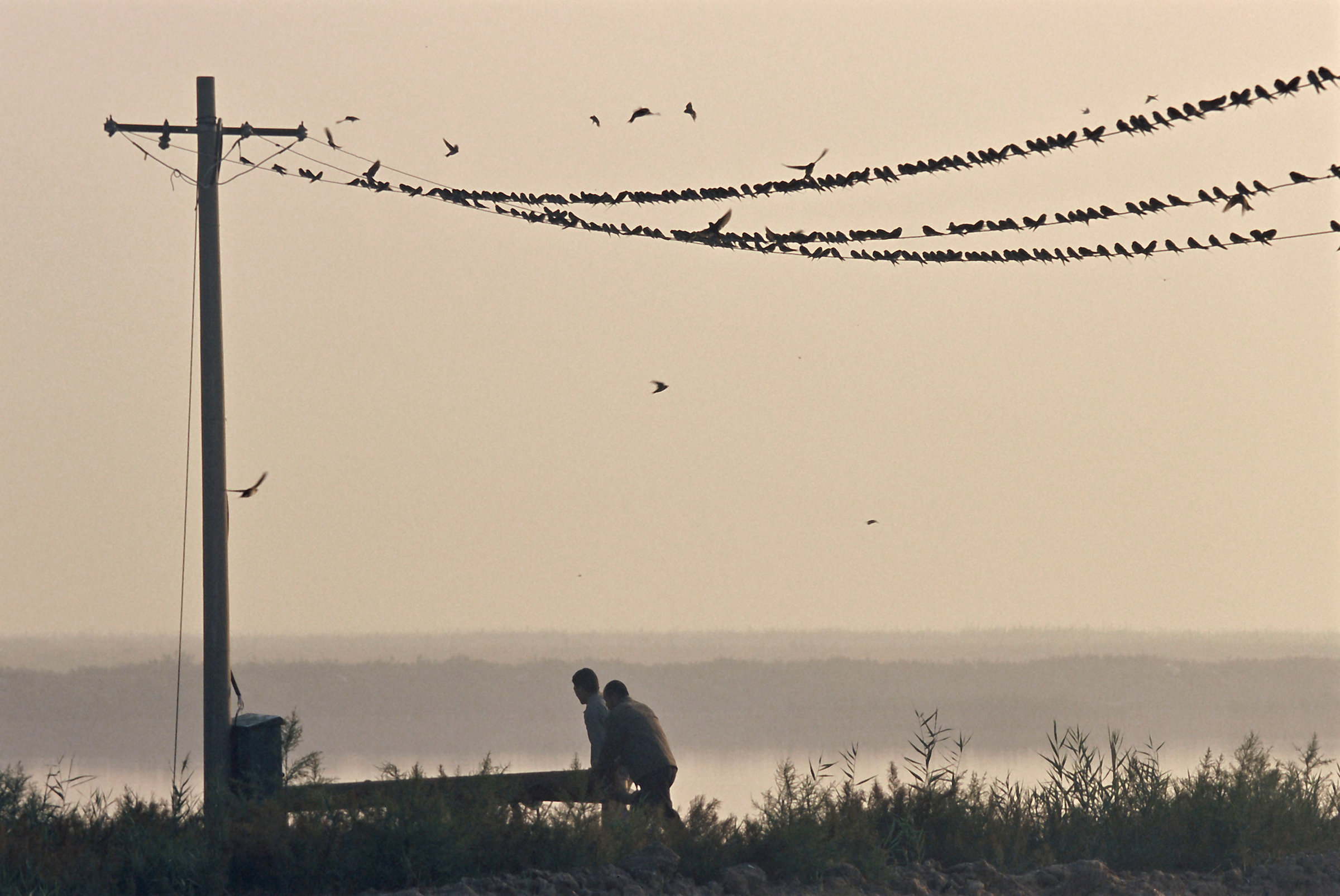 WWF Rangerclub news trekvogels oiseaux migrateurs 2