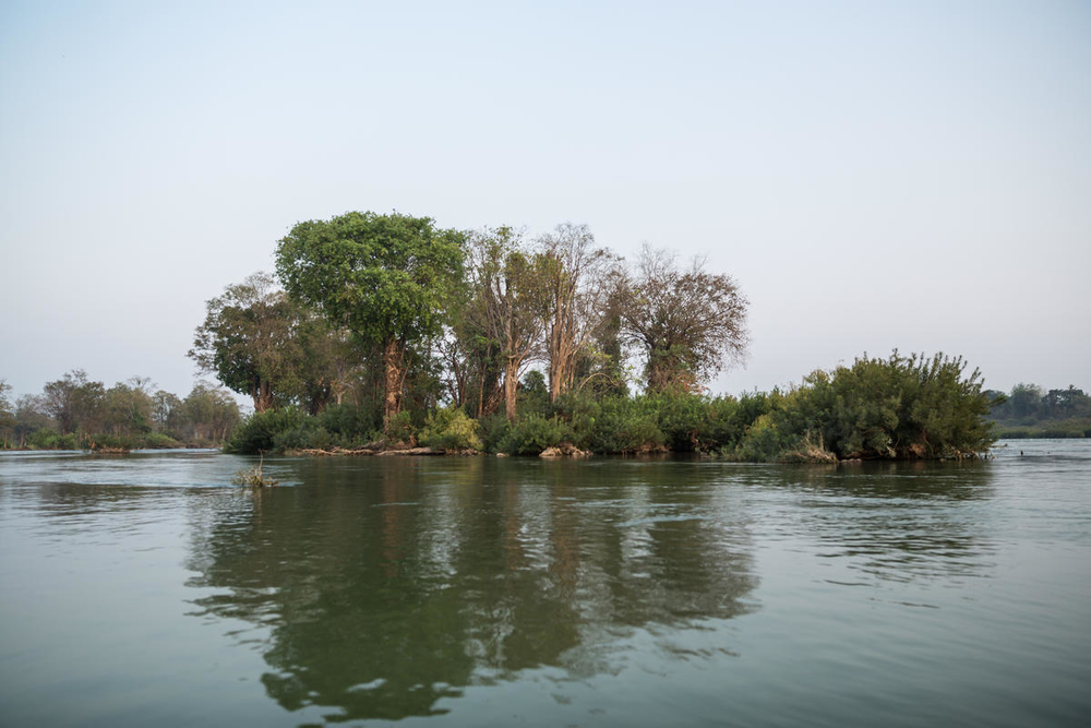 WWF Rangerclub Soorten Mekong Espece 2