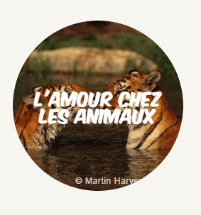 ROUND Lamourchezlesanimaux