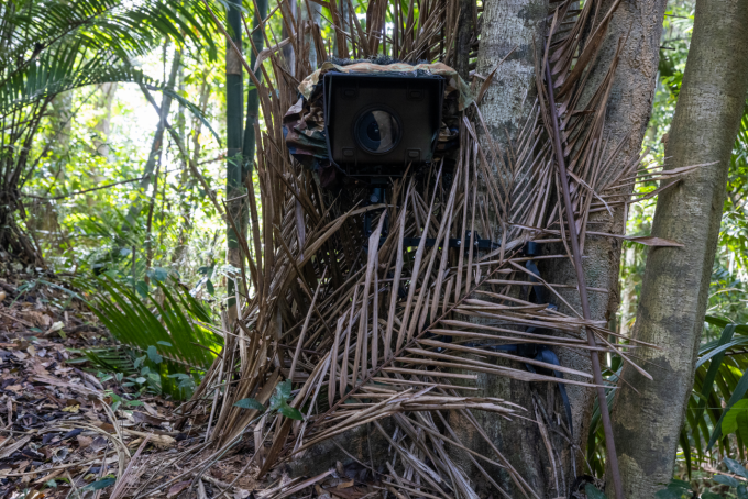 camera trap2