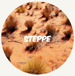 steppe2