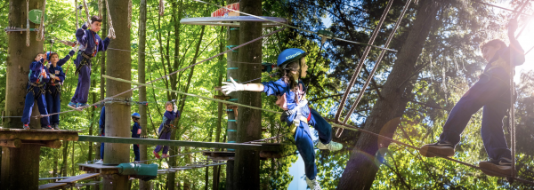 Un groupe d'enfants équipés de casques et d'harnais font un parcours dans les arbres