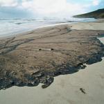 Goudron qui s'échoue au bord de la mer