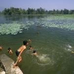 Un groupe d'enfants nagent et plongent dans un lac naturel