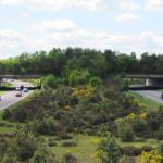 Autoroutes et nature